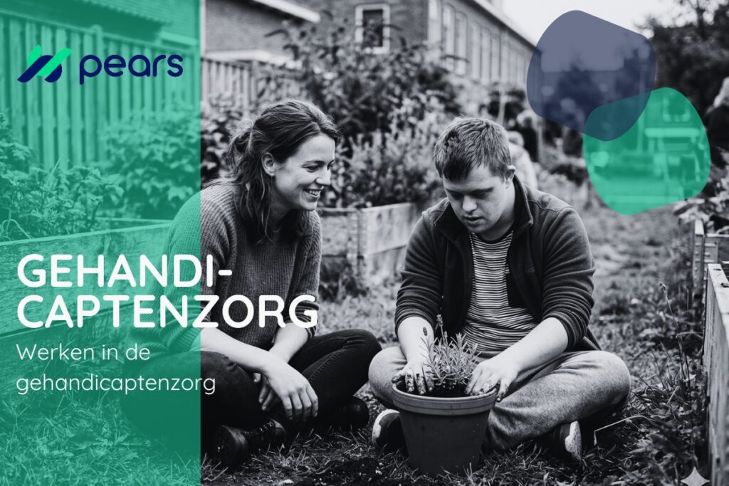 werken in de gehandicaptenzorg